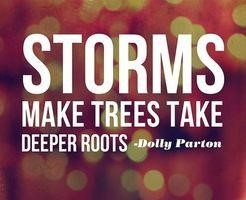 Storms make trees take deeper roots